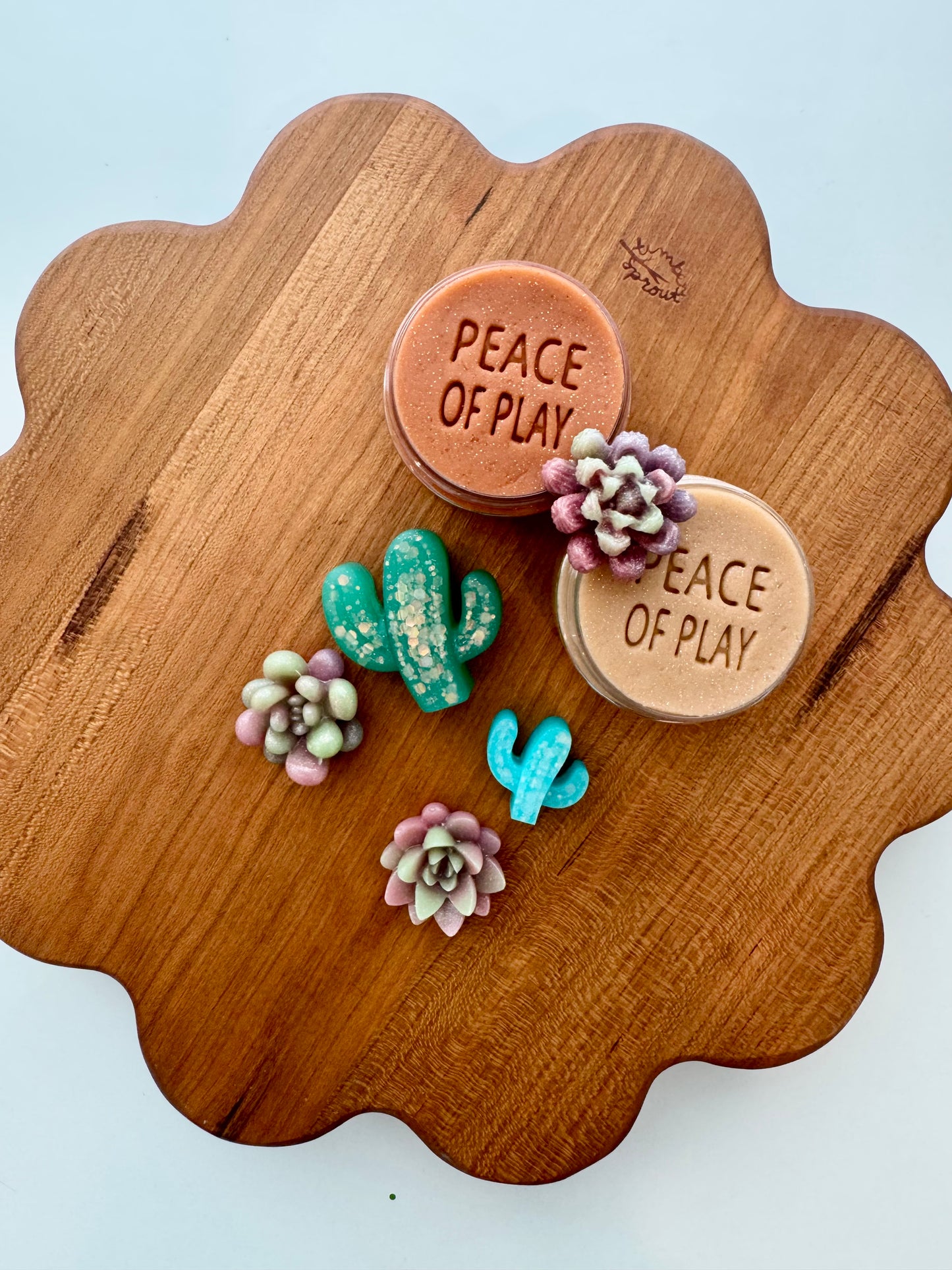 Desert Garden Collab Kit - *Limited Edition*