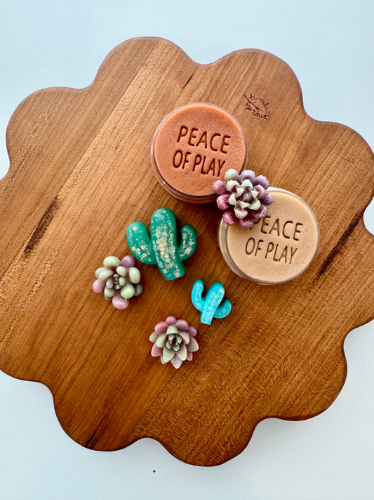 Desert Garden Collab Kit - *Limited Edition*