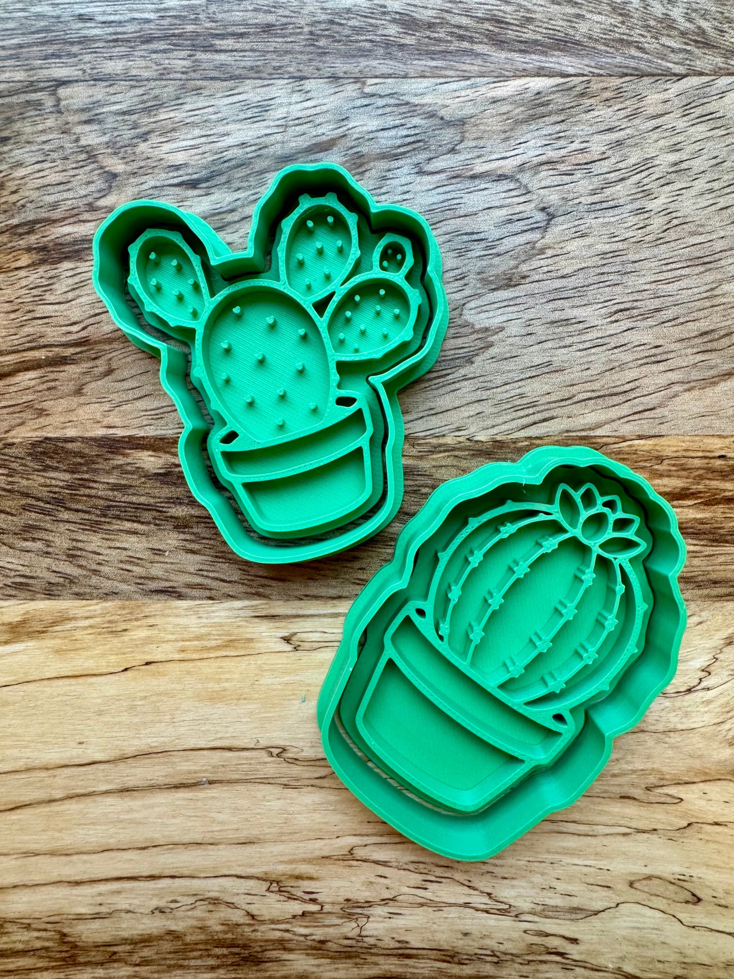 Desert Discovery Collab Kit Pieces & Loose Part Add On **Order by July 17th, 8:00 am central**