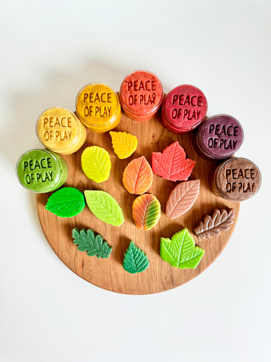 Falling for Autumn's Rainbow